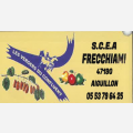 FRECCHIAMI SCEA