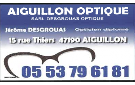 AIGUILLON OPTIQUE