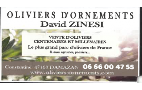 DAVID ZINESI DAMAZAN